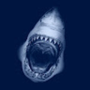 Meet your Posher, Steve